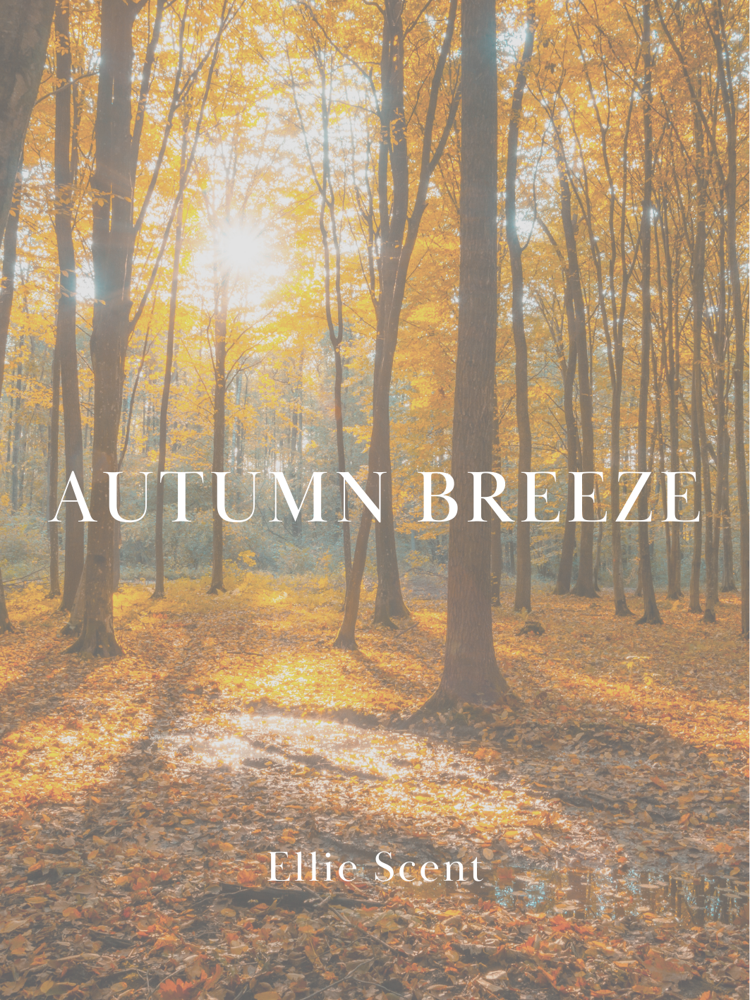 Autumn Breeze